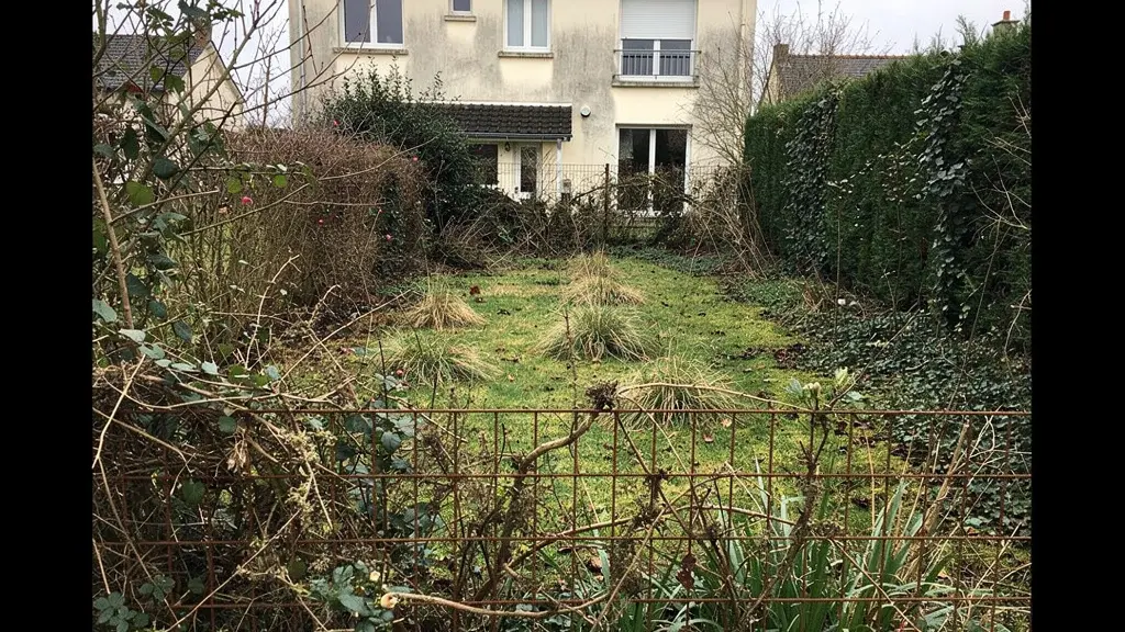 Jardin breton avec clôture grillagée rouillée et végétation envahissante